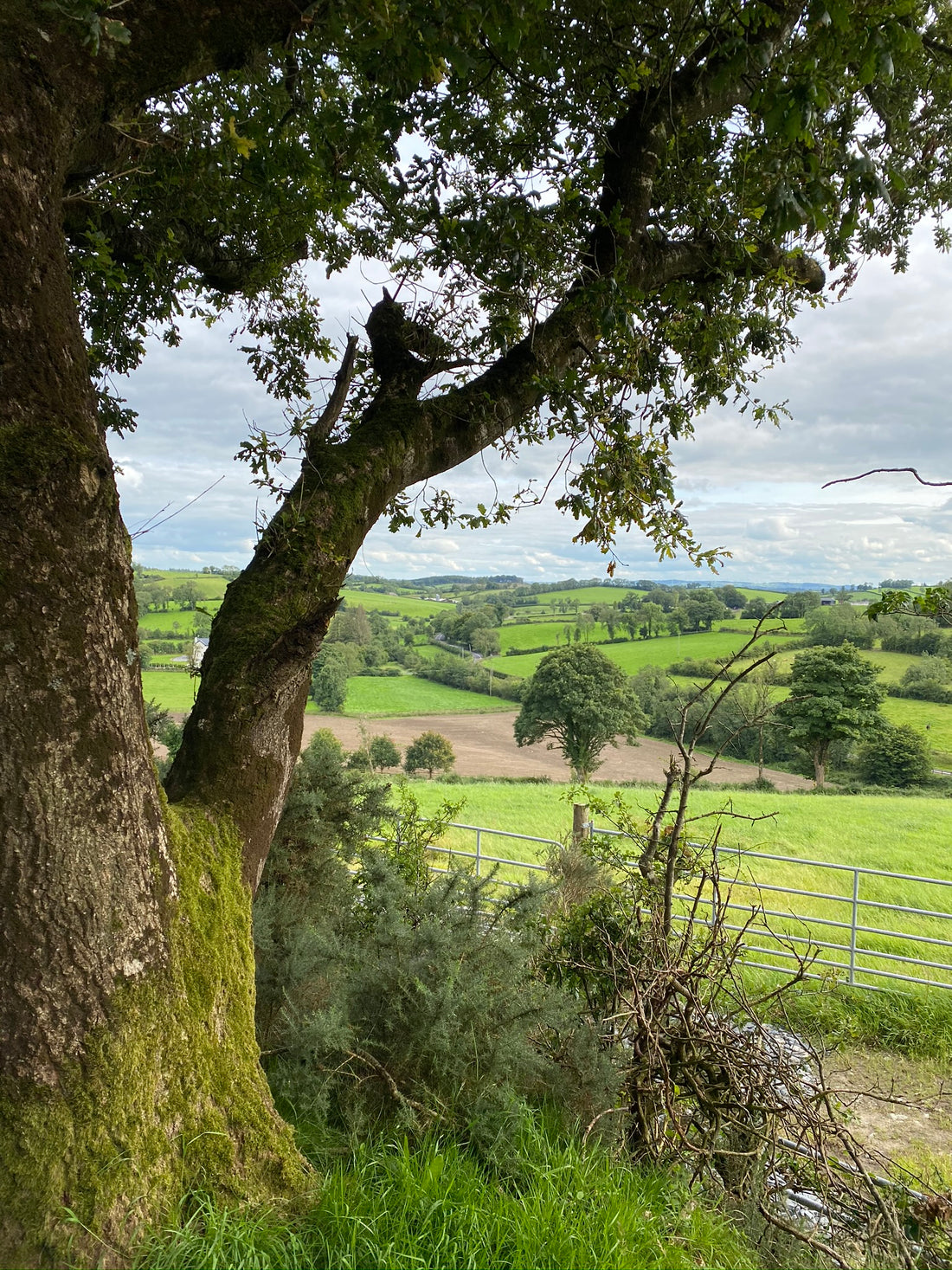 Lios Darach Fort